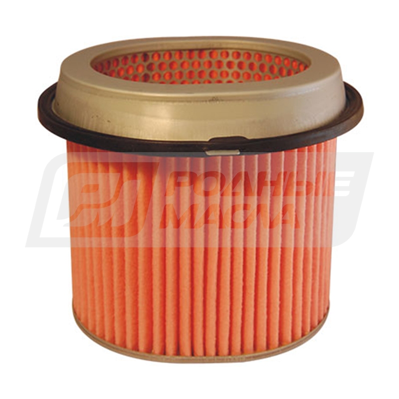 FILTRON AM 433 (A-344, MD620610) AM433